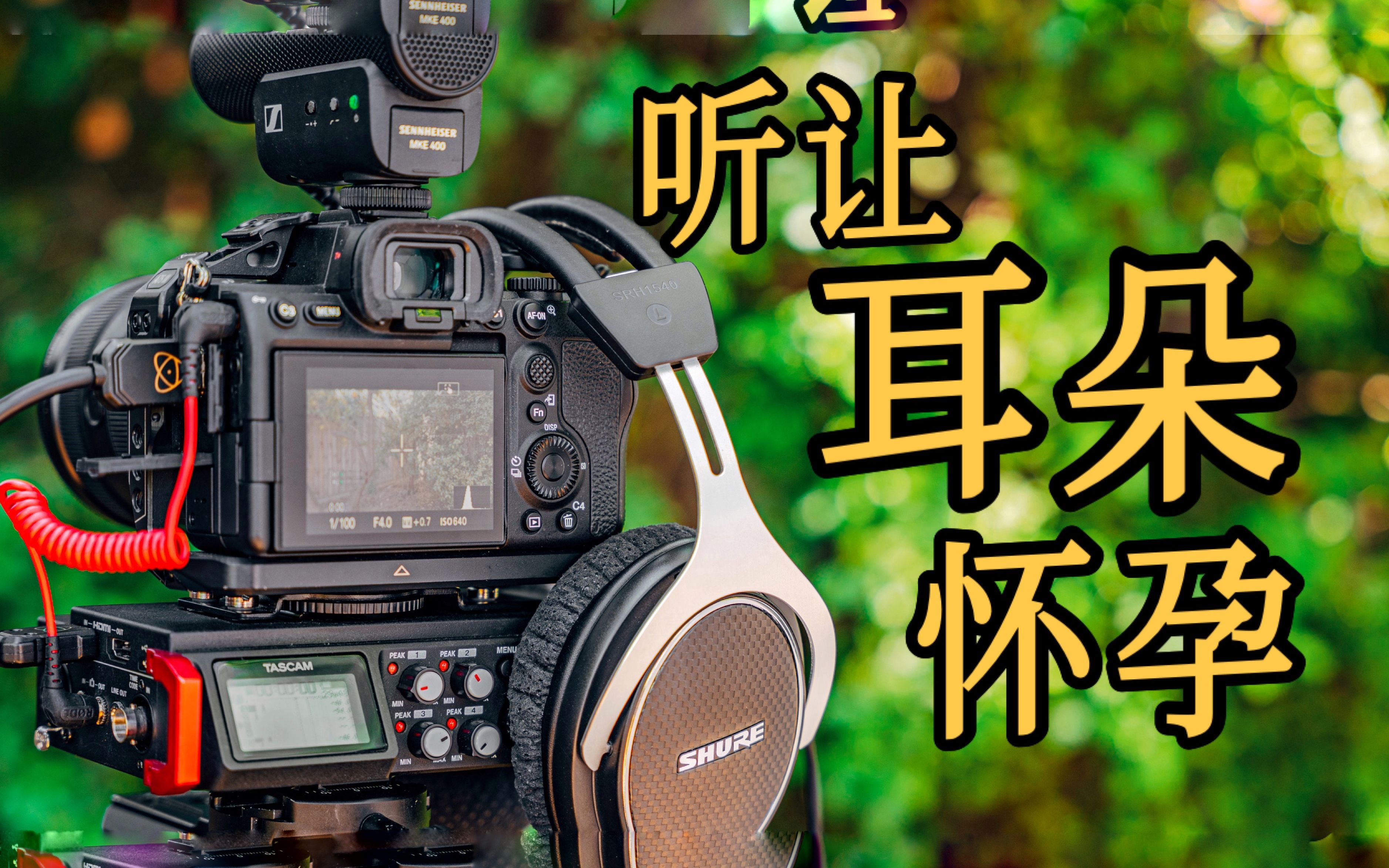 山谷放空露营焚火台和Tascam DR701D录音测试哔哩哔哩bilibili