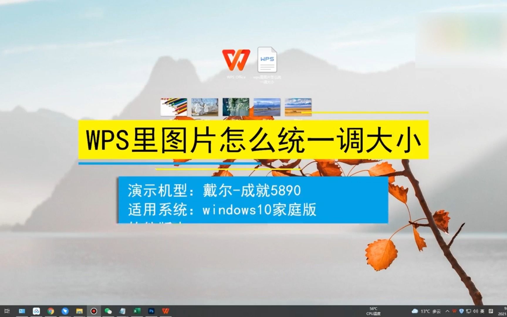 WPS Word图片怎么设置嵌入型？-WPS Word设置图片嵌入型的方法 - 极光下载站