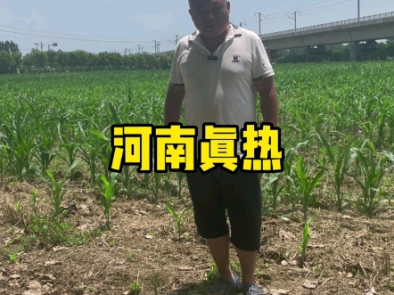 城市为什么比农村热