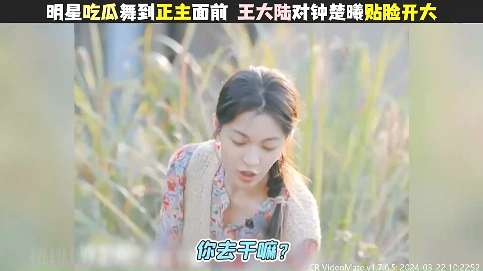 明星吃瓜舞到正主面前,王大陆当面调侃钟楚曦,各位是真的勇#原创#综艺