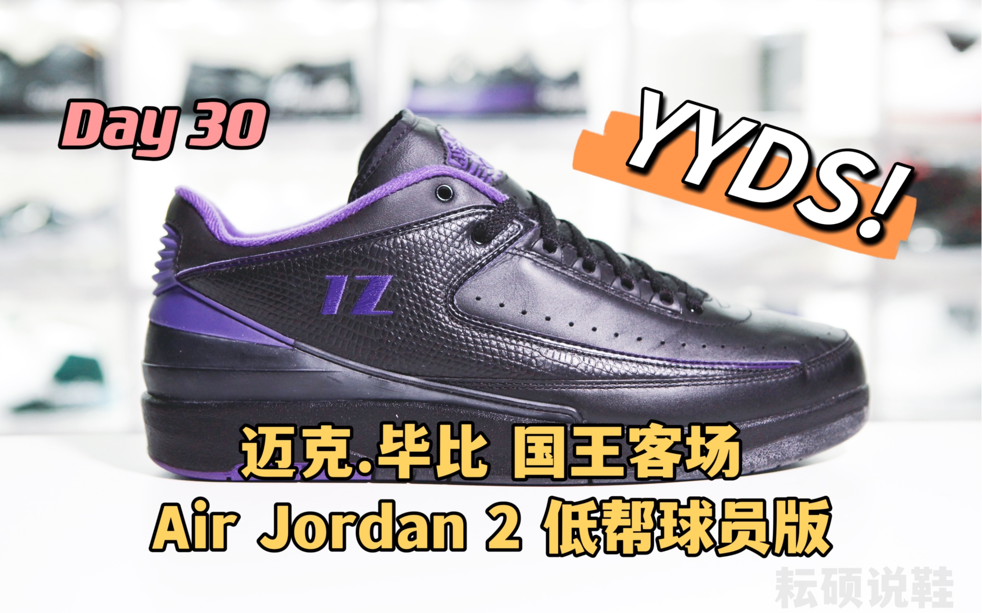 Day 30 迈克.毕比 国王队客场配色 Air Jordan 2 低帮球员版哔哩哔哩bilibili