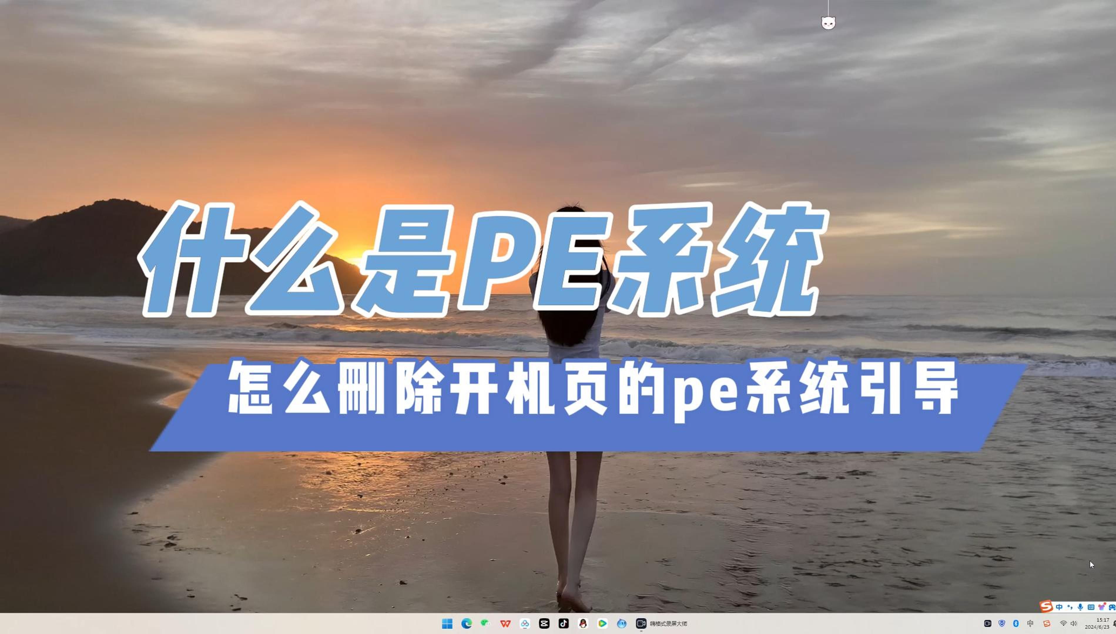 什么是Windows电脑的PE系统,又怎么删除开机页的pe系统引导哔哩哔哩bilibili