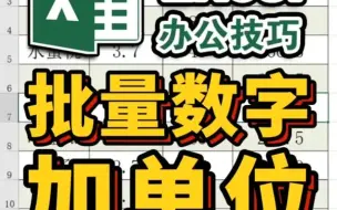 Download Video: 数字批量加单位、数字加后缀、表格办公电脑