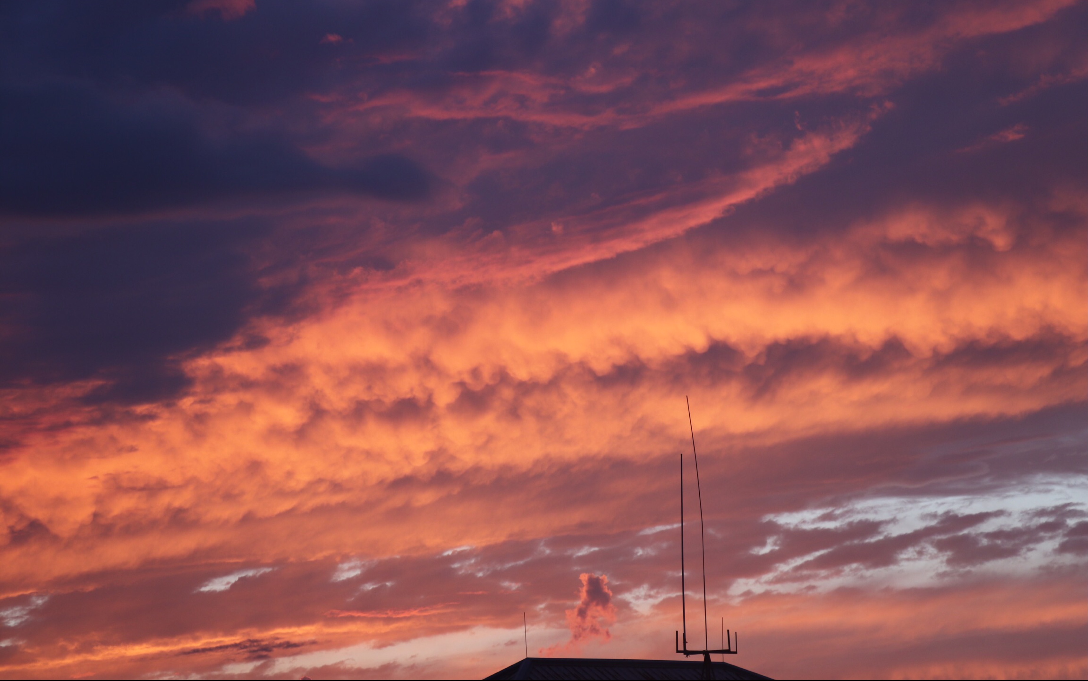 日落贩卖机,库存库存