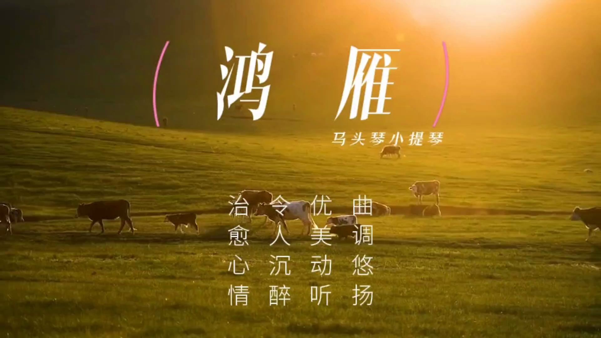 [图]【音乐静听】30马头琴小提琴协奏曲《鸿雁》曲调悠扬，优美动听，令人沉醉，治愈心情