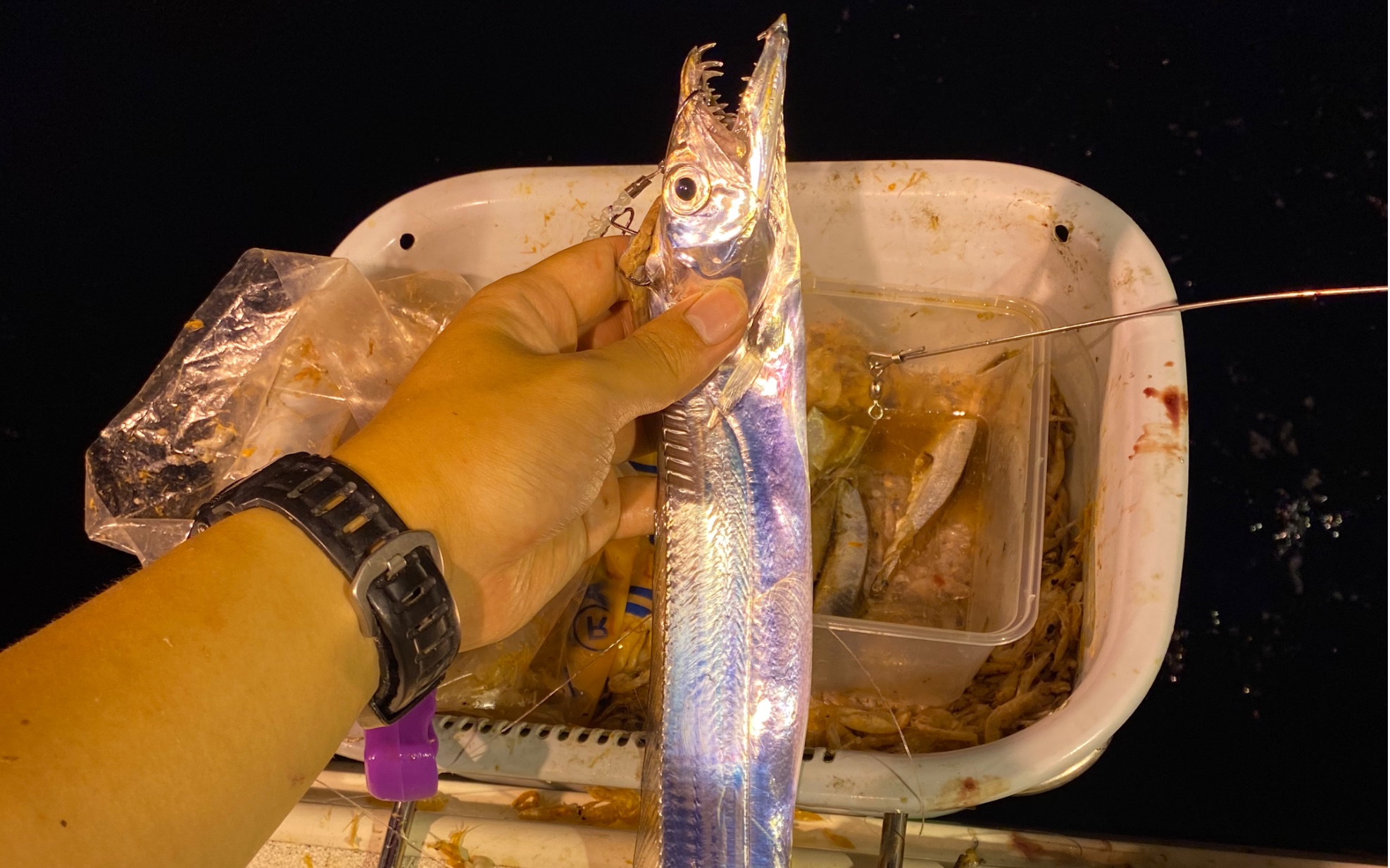 【鱼亲父】海钓带鱼的魅力 现钓现吃活带鱼_哔哩哔哩_bilibili