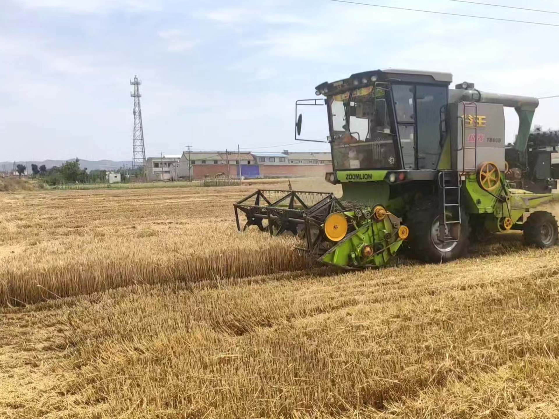 关中平原夏收小麦 谷王收割机随拍