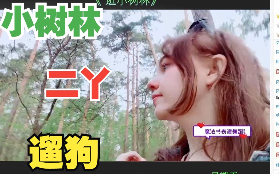 二丫频道~2023-05.12~《 小树林 中 二丫遛狗 》