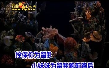 豫剧《朝阳沟》选段:人也留来地也留伴奏哔哩哔哩bilibili