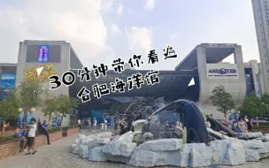 下载视频: 【VLOG日常】合肥海洋馆半日游，带你看看一线城市的海洋馆里都有什么