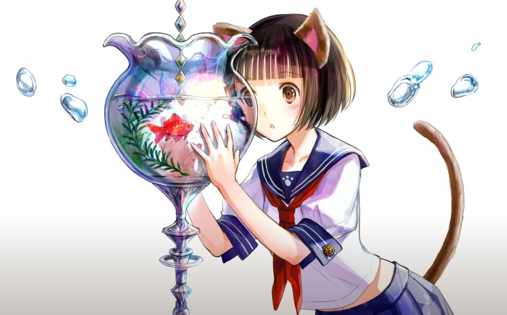 【藤ちょこ(藤原)】夏らしく金鱼と猫_哔哩哔哩 (゜-゜)つロ 干杯