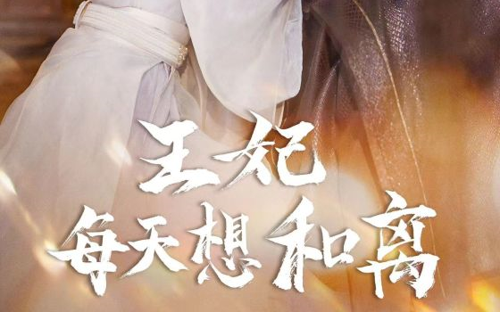 《王妃每晚想和离》【全集】江汐瑶 女人本是郡主,执意请求皇上赐婚