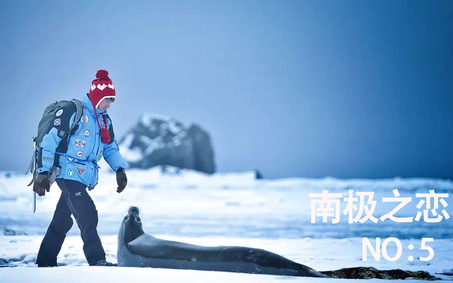 豆瓣高分电影《南极之恋》,一部相濡以沫的爱情灾难片,太虐心了