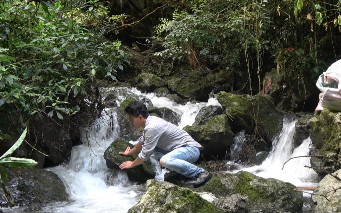 小莫冒险超级大溶洞搞野,不料里面藏着一只乌龟,这么大的真少见哔哩哔哩bilibili