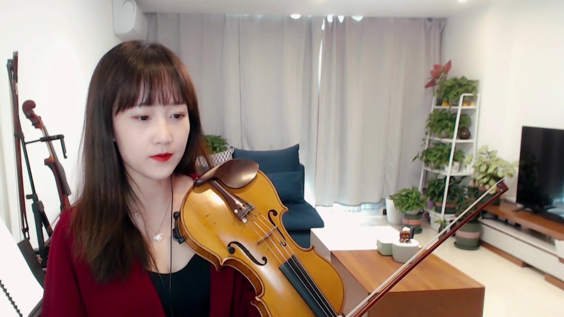 【小提琴/揉揉酱】经典老歌《一剪梅》 附小提琴谱