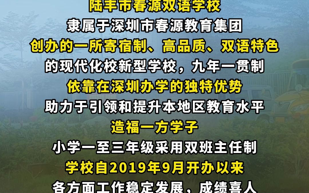 陆丰市春源双语学校招聘启事1哔哩哔哩bilibili