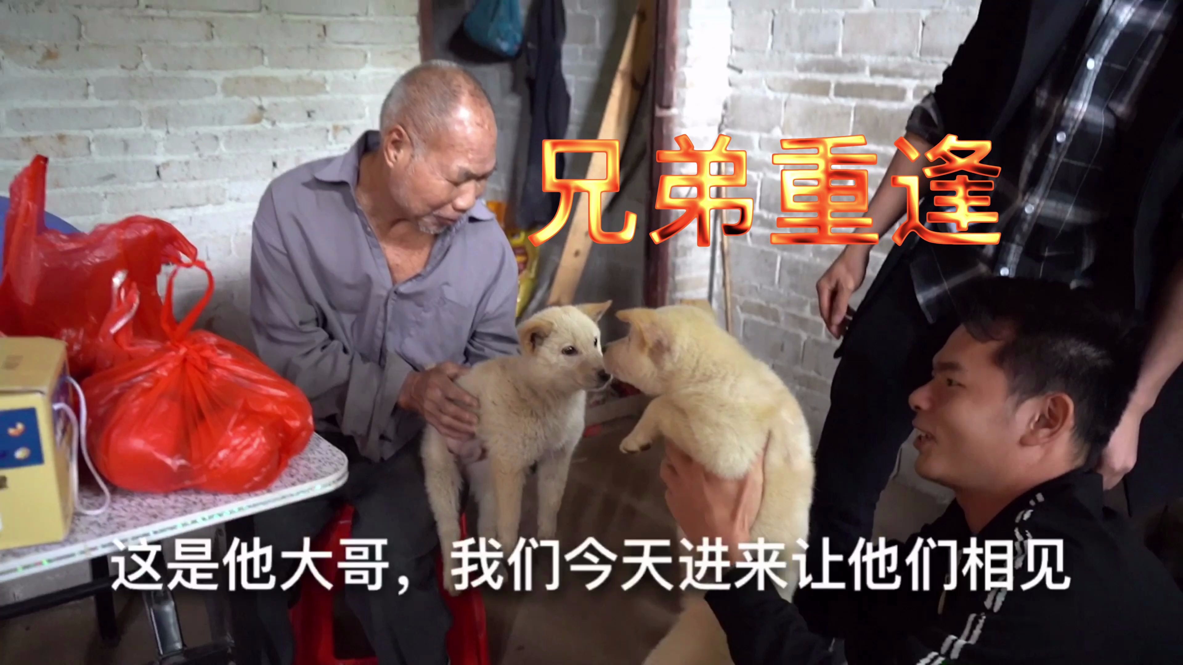 活动作品双目失明兄弟重逢