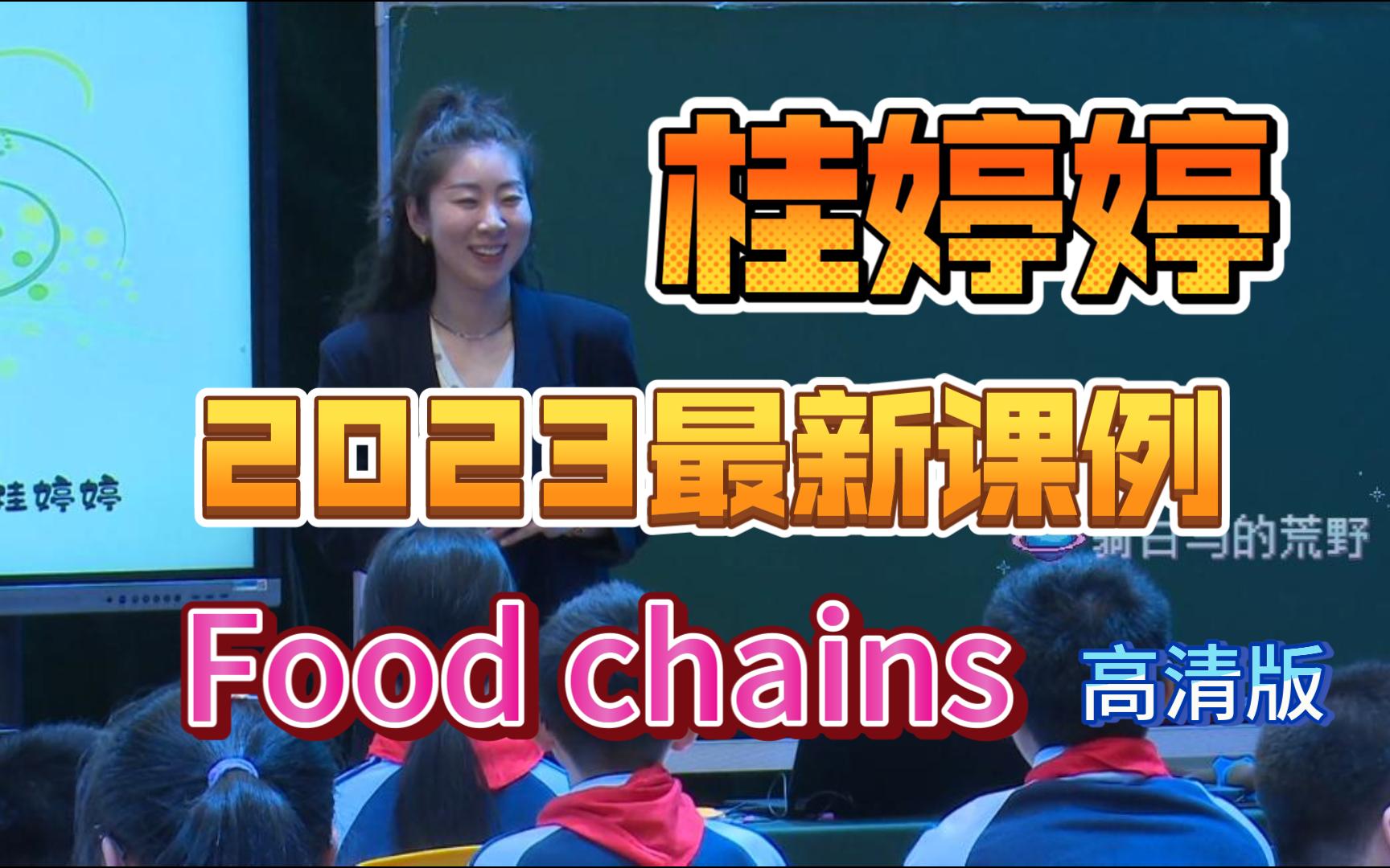 桂婷婷最新课例 Food chains 高清版! | 2023年4月新课来啦哔哩哔哩bilibili