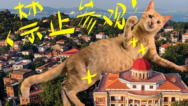 写真集 中国万華 久保田博ニ序・陳舜臣 TBSブリタニカ Amazon.co.jp: 中国万華: 久保田博二写真集 : 久保田 博二: 本