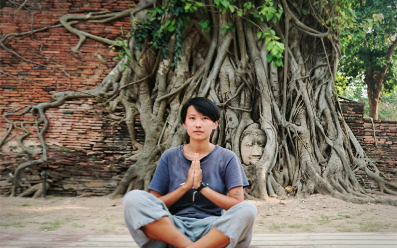 【原创】孤独的旅行家之世遗寻踪泰国大城府树抱佛的秘密