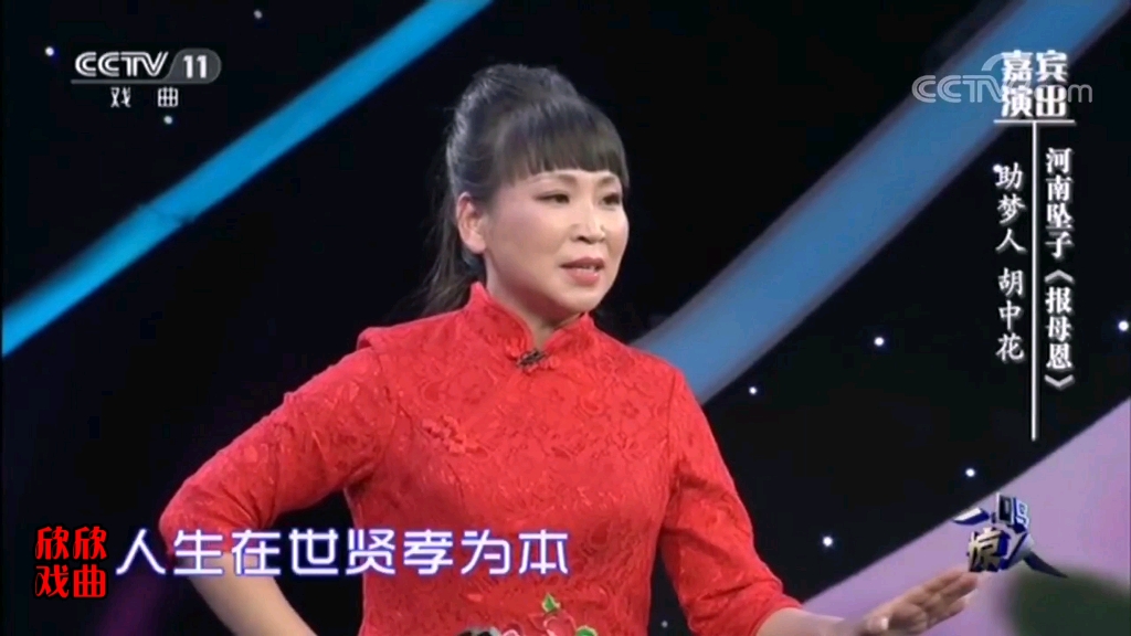 河南坠子《报母恩》胡中花