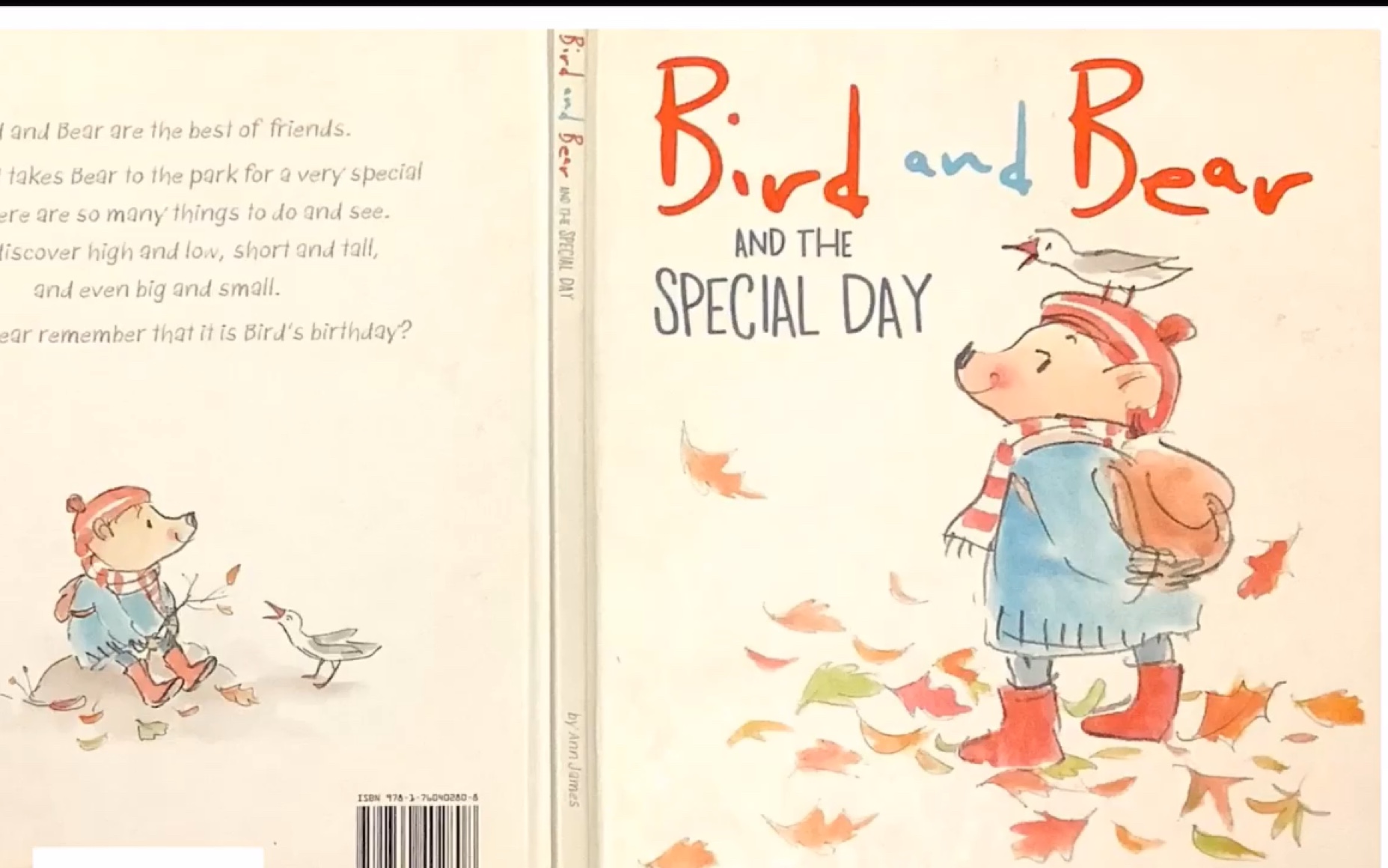 【daisy的英文閱讀】6歲女孩的閱讀 bird and bear and special day