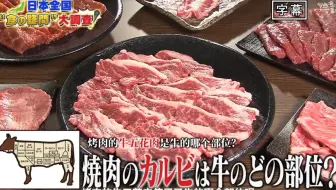 合集 哔哩哔哩 Bilibili