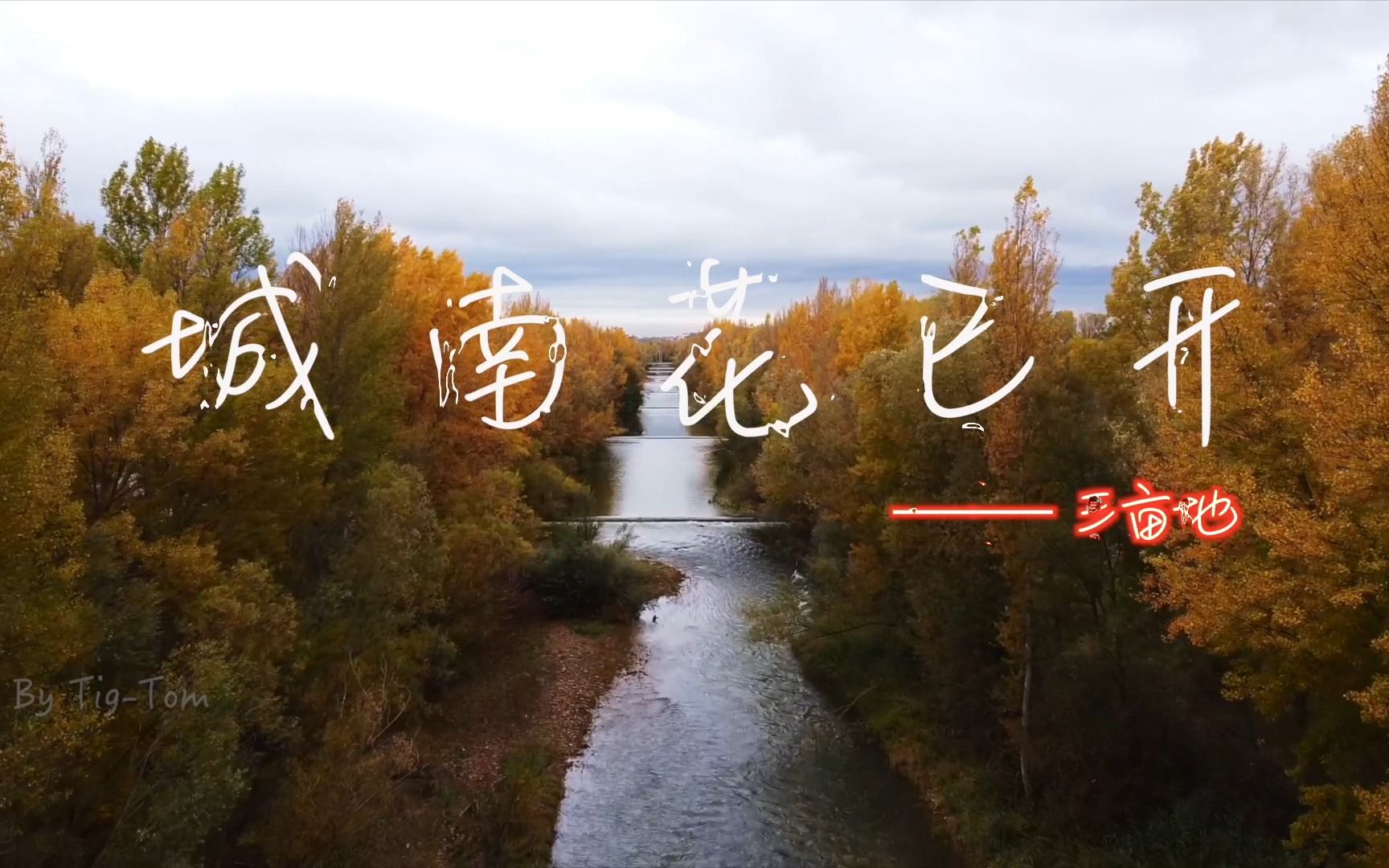 " 我们的生命,就是以不断出发的姿势得到重生." —《城南花已开》