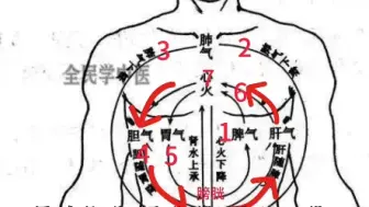 Télécharger la video: 人体脏器运动轨迹