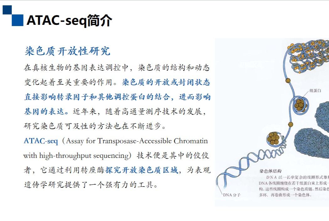 ATACseq开启基因表达调控研究新体验哔哩哔哩bilibili