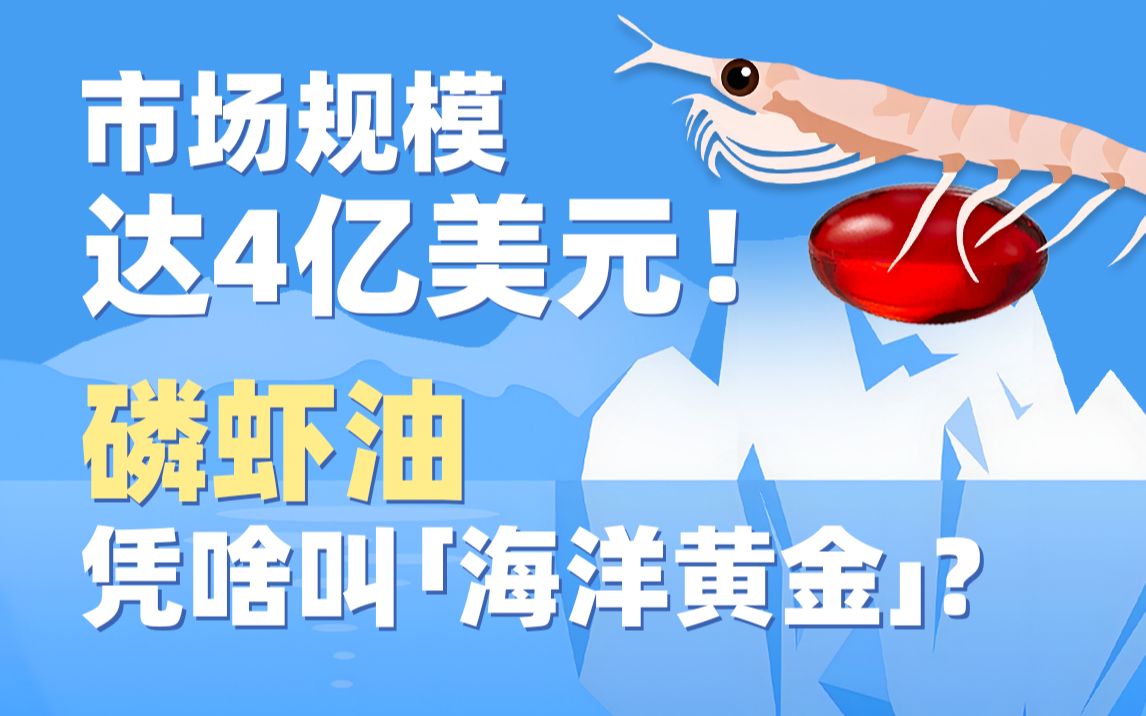 市场规模达4亿美元!磷虾油凭啥叫“海洋黄金”?哔哩哔哩bilibili