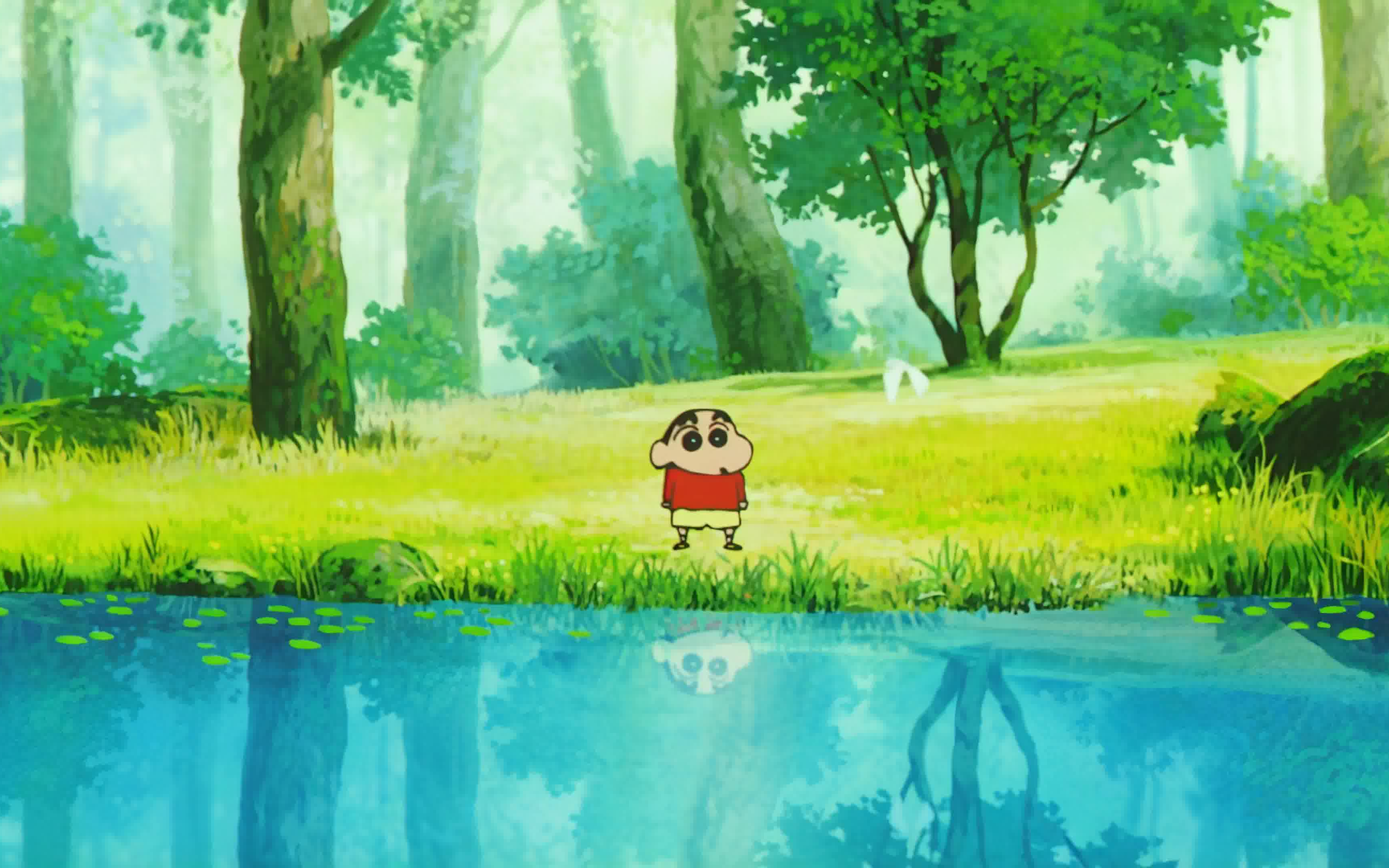 全网画质最高小新4k120