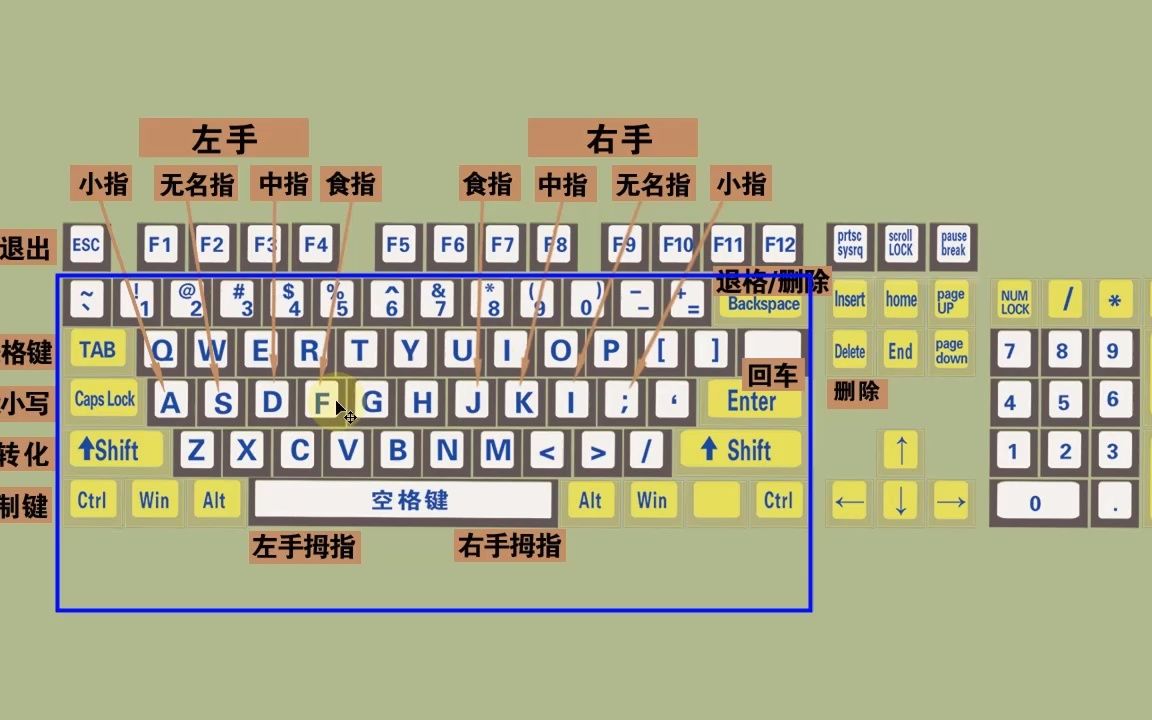 零基礎快速學拼音學五筆打字教程,鍵盤打字快速入門