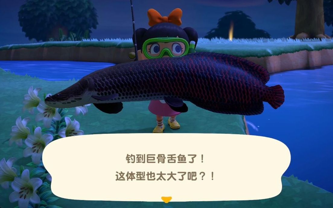 【动物之森】爆米花心血来潮的夜钓成果展示