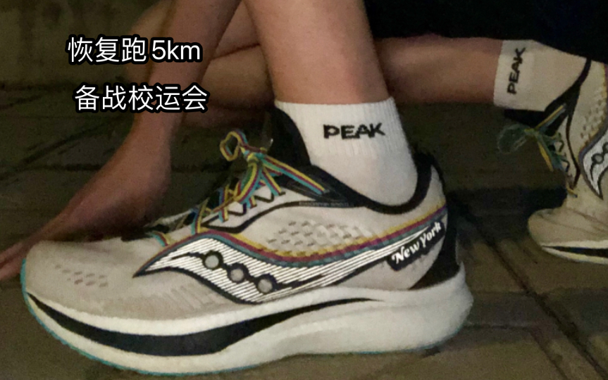 备战校运会第一天|恢复跑5km(5km|100km)哔哩哔哩bilibili