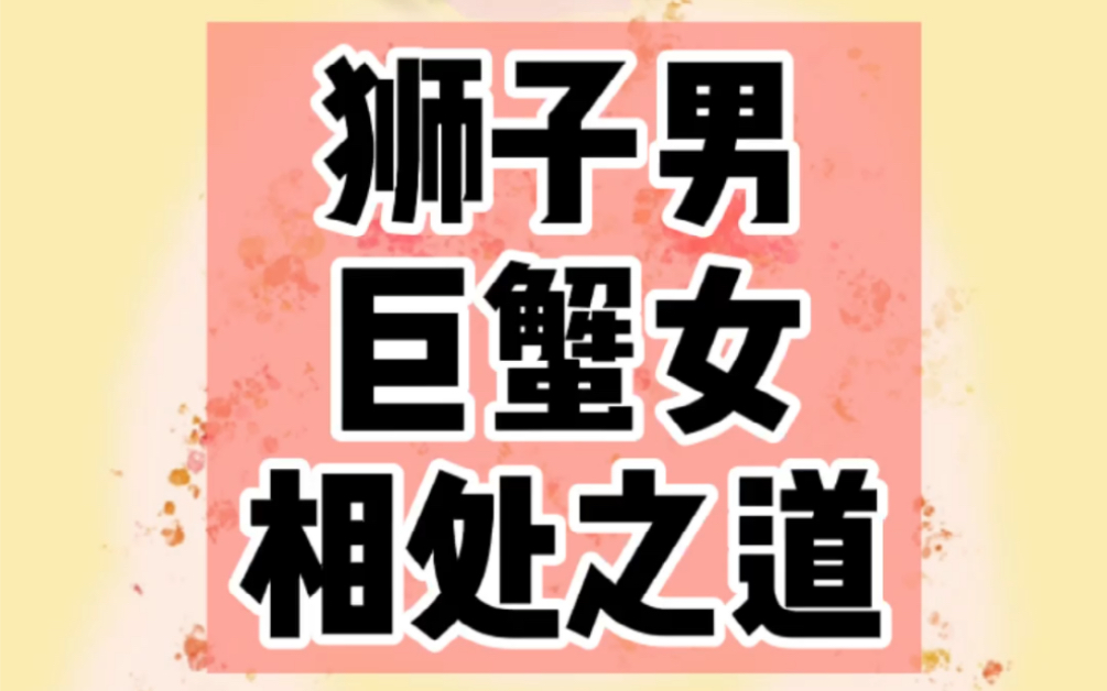 狮子男和巨蟹女如何相处(全程干货满满)哔哩哔哩bilibili