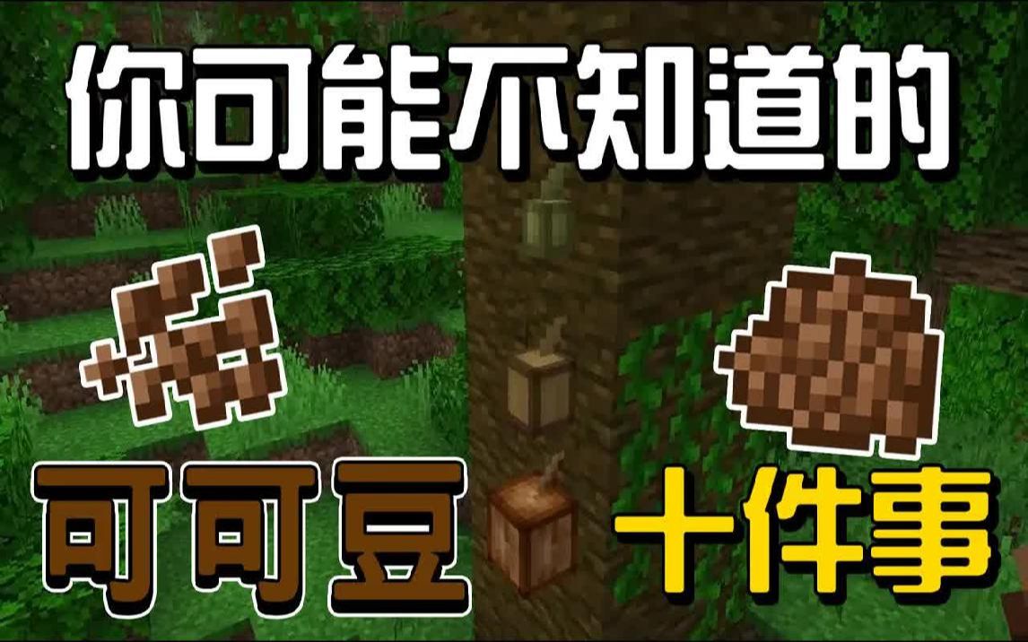 你可能不知道的可可豆的10件事!!!【秋风麦块生物学】实况解说