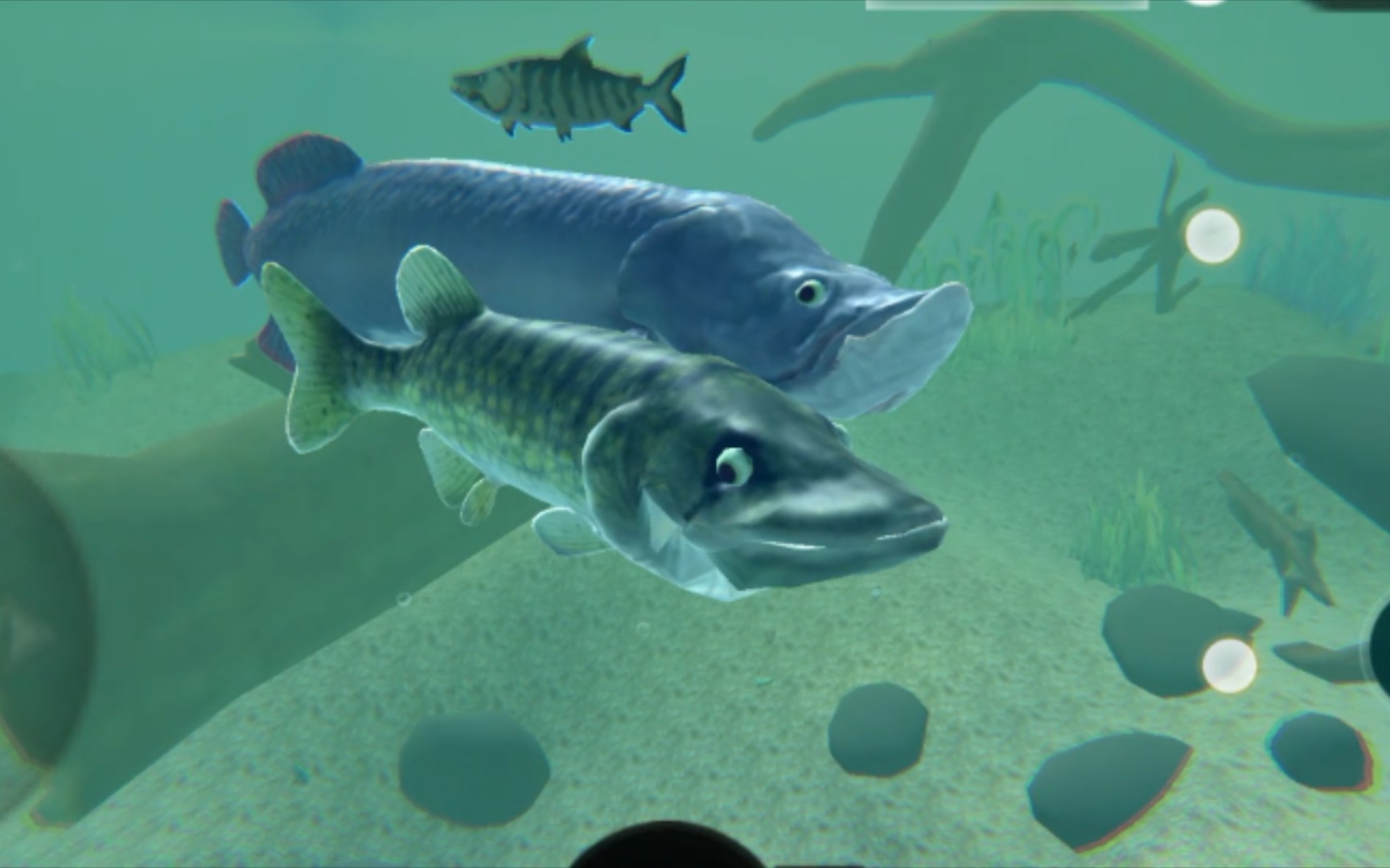 海底大猎杀——狗鱼河流成神,河中敏捷的猎手!