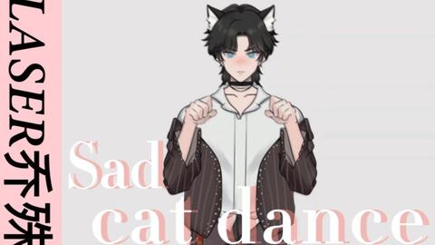 sad cat dance。_哔哩哔哩_bilibili