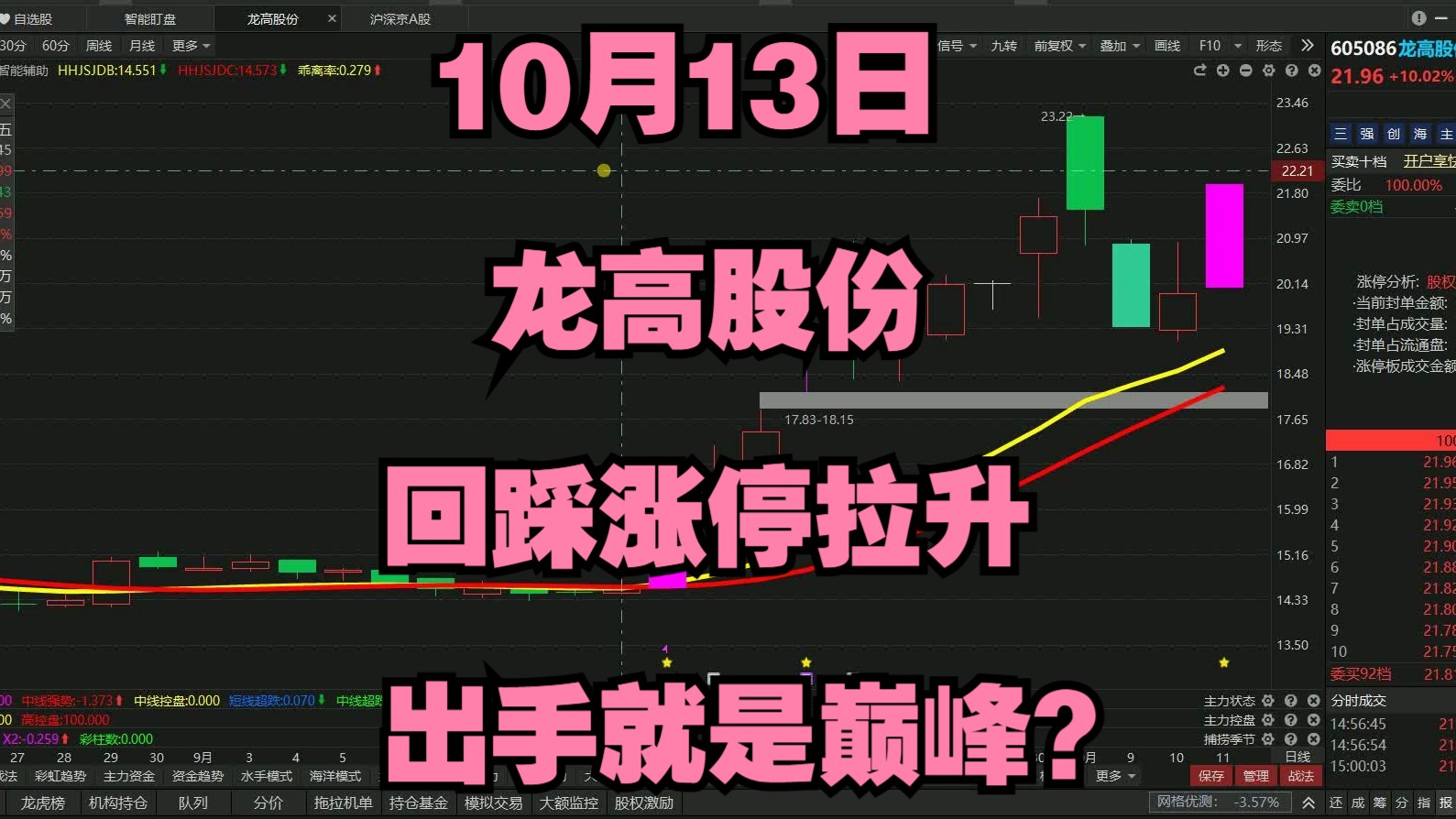 10月13日龙高股份,回踩涨停拉升,出手就是巅峰?哔哩哔哩bilibili