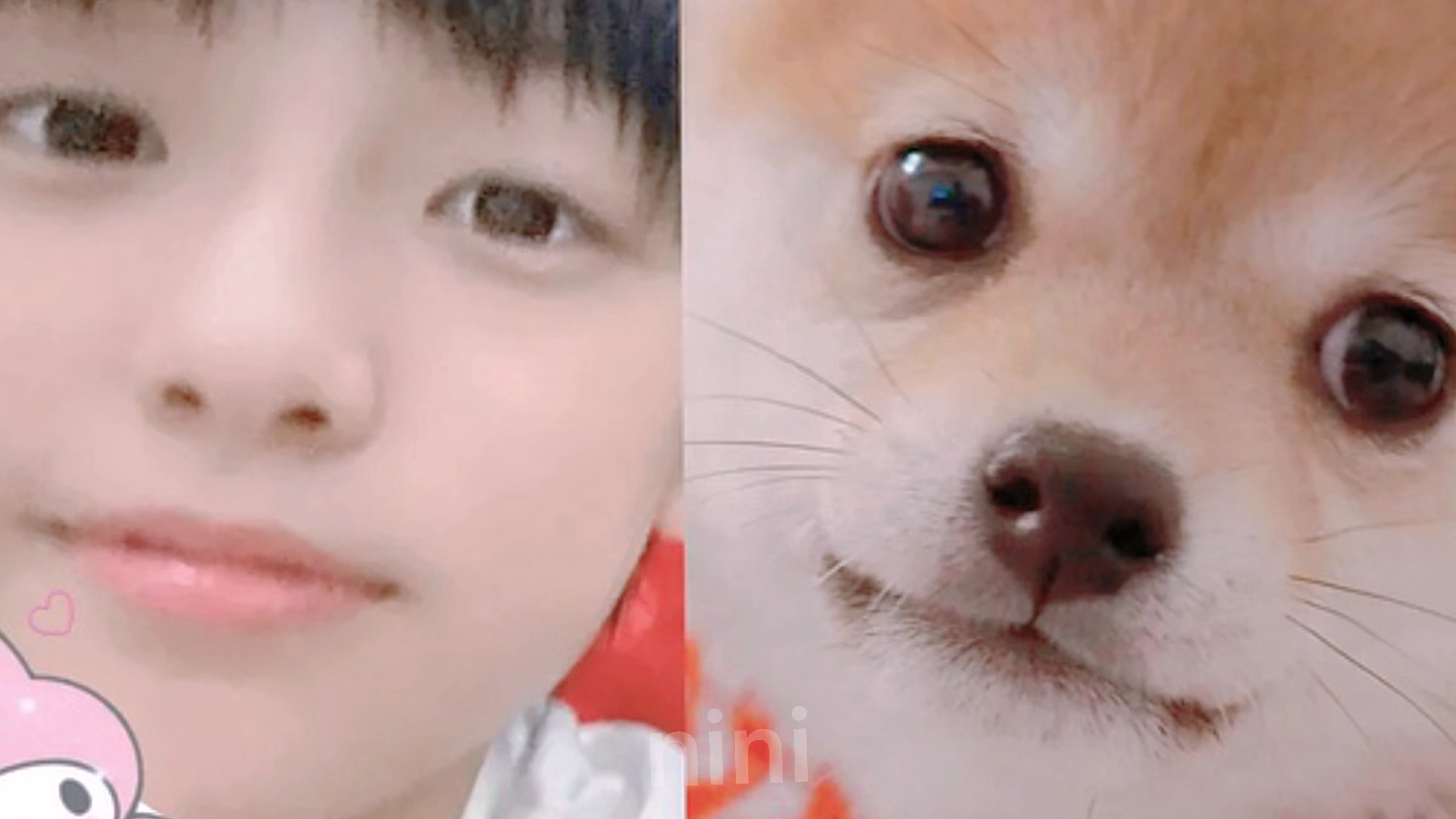 什么?这就是人间真狗勾 十四岁男孩张泽禹吗!