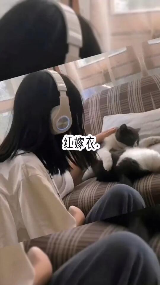 《红嫁衣》哔哩哔哩bilibili