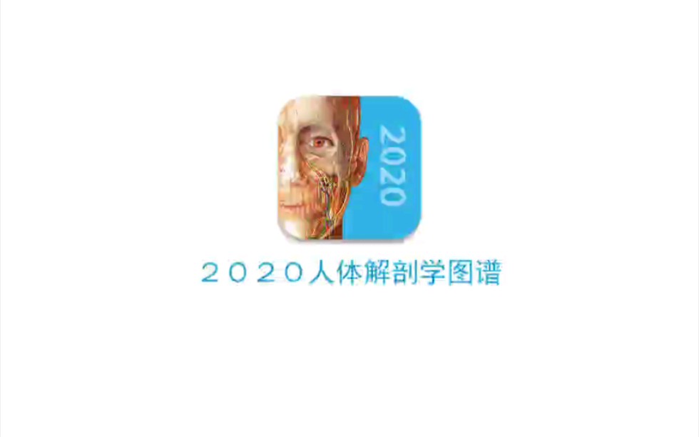 安卓app2020人体解剖学图谱哔哩哔哩bilibili