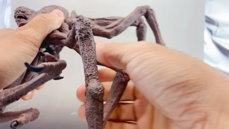 麦克法兰猎魔人系列人面蜘蛛开盒测评