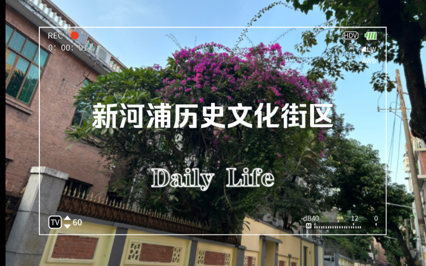 闲逛新河浦历史文化街区