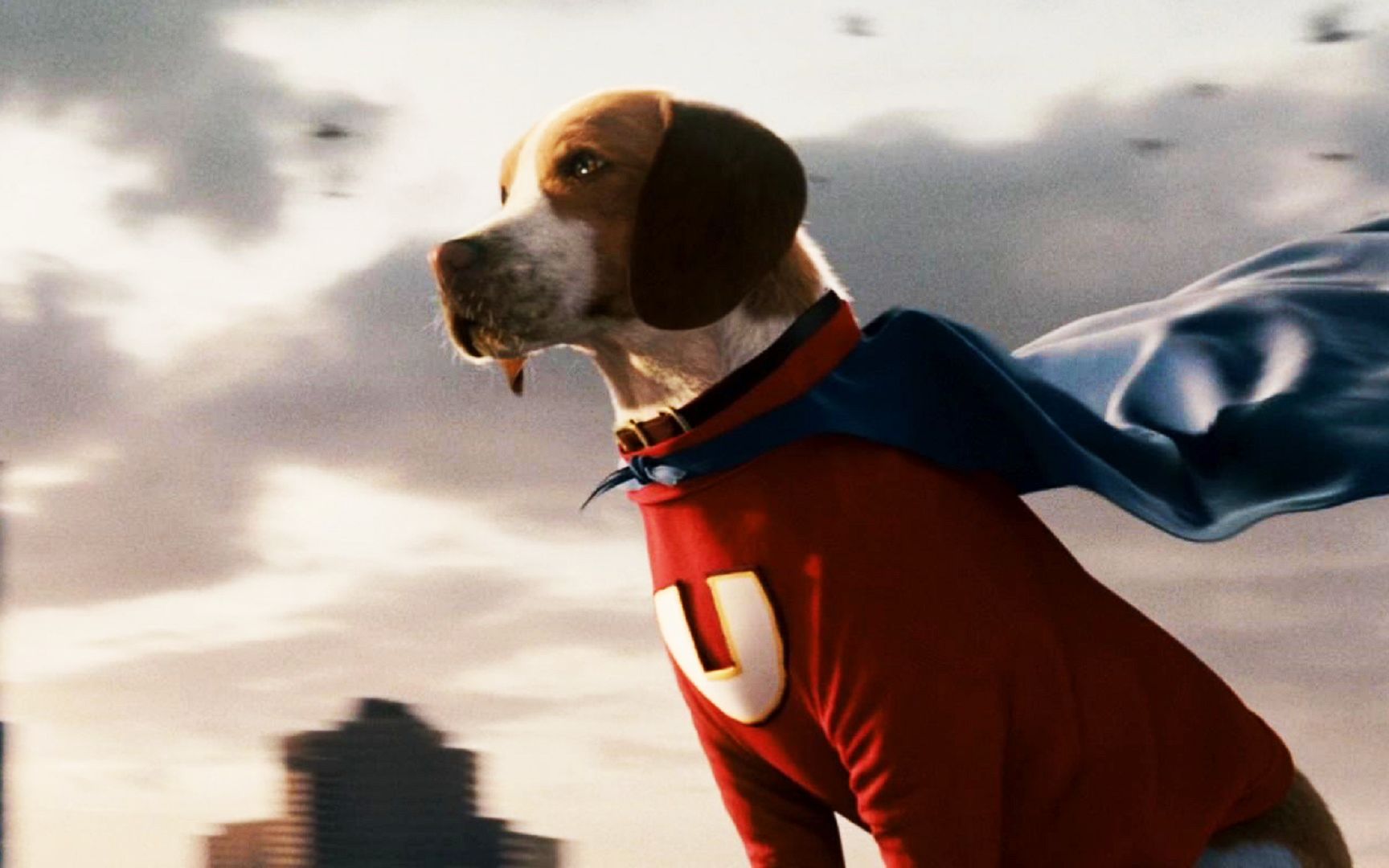 【超狗任务】一只狗中废柴,居然意外获得了超能力《超狗任务》「一语