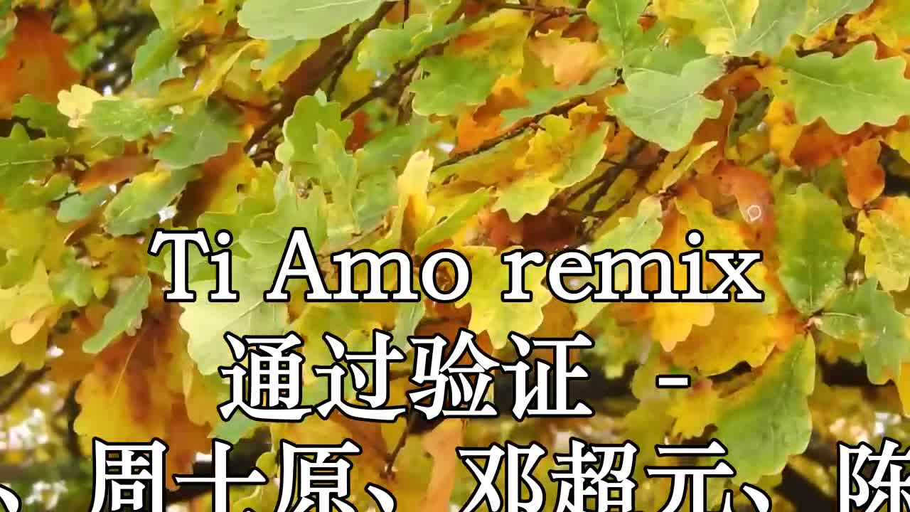 ti amo remix 通過驗證 (live) - 艾福傑尼,夏瀚宇,周士原,鄧超元