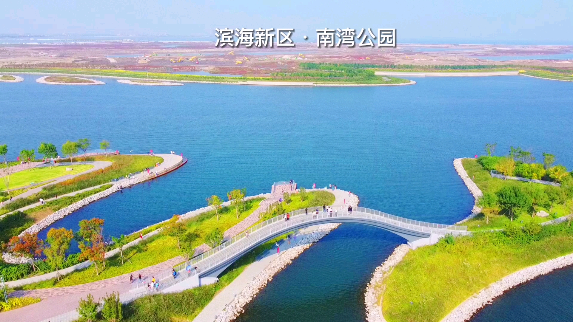 十一国庆假期打卡滨海南湾公园!滨海的免费公园真多!风景也太美了吧?