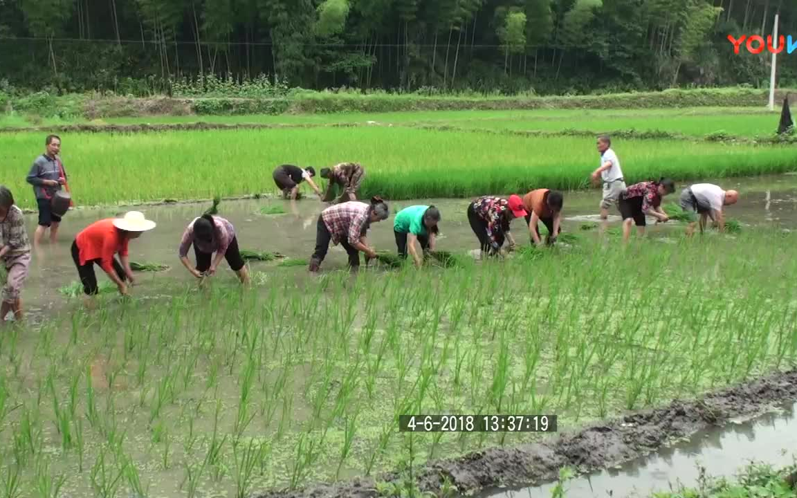 [图]湖北省咸宁市咸安区桂花乡白泉村山歌《栽田鼓》