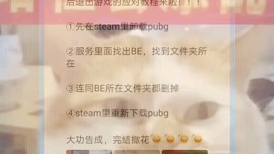 绝地求生反作弊系统未检出,10秒后退出游戏解决教程PUBG